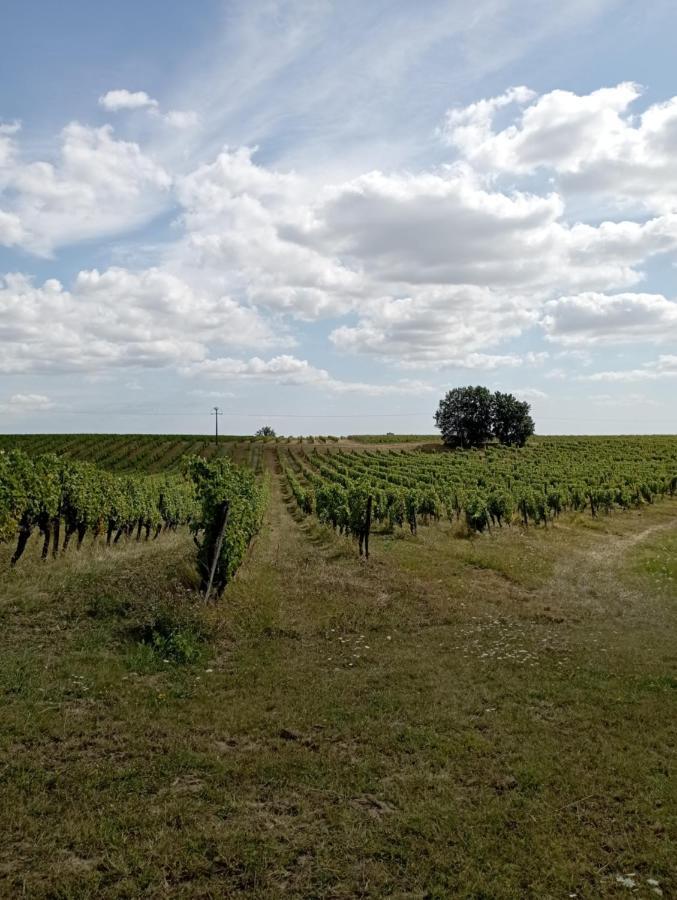 Maisonnette Neuve Monbazillac Villa Exterior photo